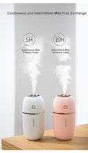 Load image into Gallery viewer, Ultrasonic USB Humidifier Aroma Essential Oil Diffuser
