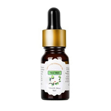 Load image into Gallery viewer, Flower Fruit Essential Oils for Humidifier
